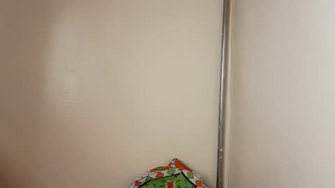 joy online show from March 2026 02:00:01 PM