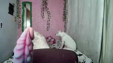 sexy lolas online show from February 2026 02:19:02 AM