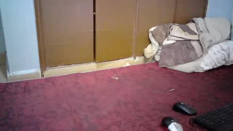 Snapshot of sexy_lunah chatting on December 2024 02:57:02 PM sexy_lunah online show from December 2024 02:57:02 PM