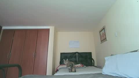 Alice Skay online show from July 2026 02:24:01 PM
