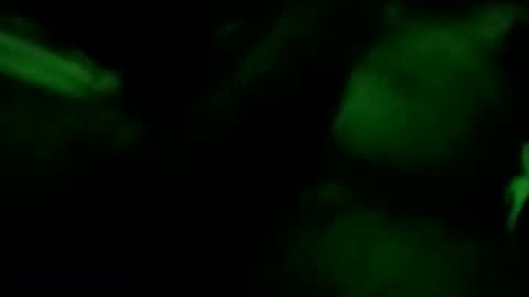 sexybleublood online show from September 2025 04:14:02 AM
