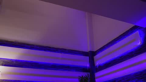 Celline online show from November 2025 05:09:02 AM