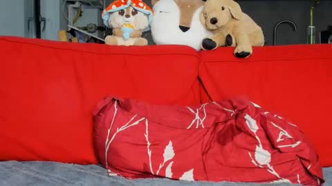 Ari online show from March 2025 06:00:02 PM