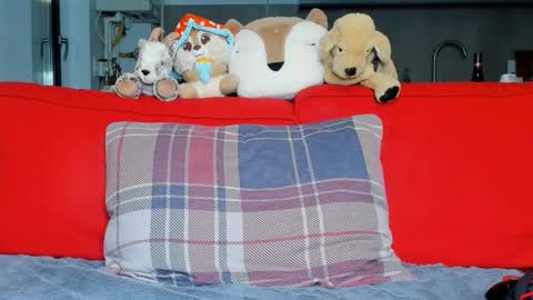 Ari online show from October 2025 05:33:02 PM