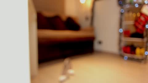 Snapshot of sexykata_s chatting on December 2024 06:03:02 AM katalina larson online show from December 2024 06:03:02 AM