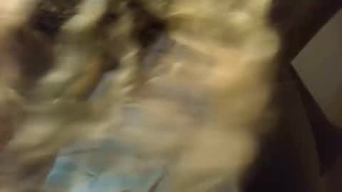 Snapshot of sexykitten200 chatting on November 2025 05:50:01 AM SexyKitty online show from November 2025 05:50:01 AM