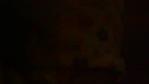 Snapshot of sexyoldwet chatting on January 2025 11:06:02 PM AnneSofia online show from January 2025 11:06:02 PM