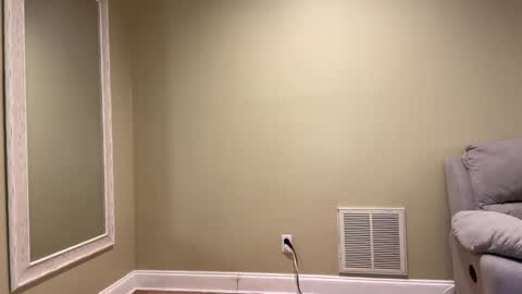 Sexypiglet2728 online show from February 2025 04:01:01 AM