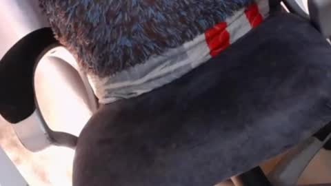 Snapshot of sexyshemale4uxxx chatting on February 2025 05:10:01 AM online show from February 2025 05:10:01 AM