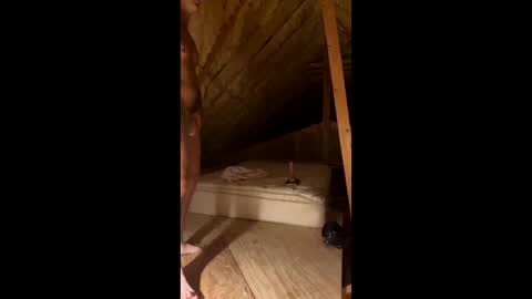 Smooth bi guy online show from March 2026 08:11:02 AM