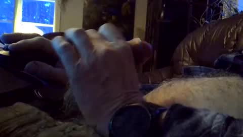 sgthard260486 online show from February 2026 06:28:01 AM