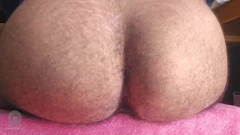 ShadowBoy 2405 online show from December 2025 06:25:02 PM