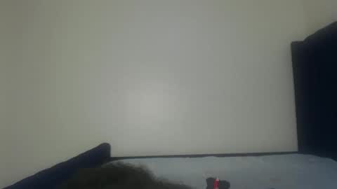 Snapshot of shadow_sweets chatting on November 2025 01:25:02 PM Shadow online show from November 2025 01:25:02 PM