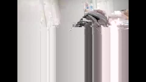 shagnasty95 online show from April 2026 01:27:02 AM