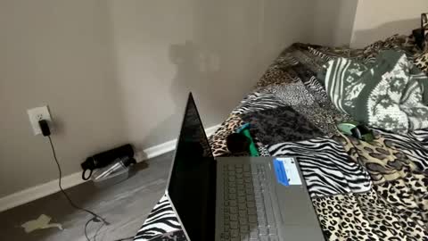 Snapshot of shamanwoman chatting on December 2024 01:14:01 AM Shaman Woman online show from December 2024 01:14:01 AM