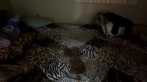 Snapshot of shamanwoman chatting on December 2024 02:57:01 AM Shaman Woman online show from December 2024 02:57:01 AM