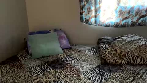 Snapshot of shamanwoman chatting on December 2024 05:11:01 PM Shaman Woman online show from December 2024 05:11:01 PM