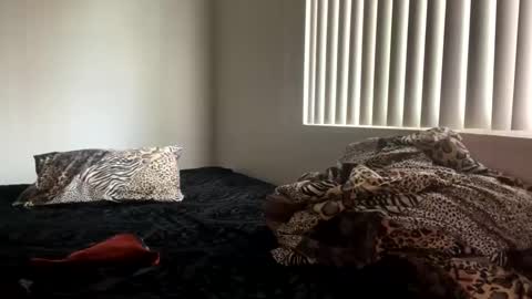 Snapshot of shamanwoman chatting on December 2024 08:07:01 PM Shaman Woman online show from December 2024 08:07:01 PM