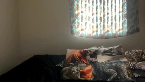 Snapshot of shamanwoman chatting on December 2024 07:24:02 PM Shaman Woman online show from December 2024 07:24:02 PM