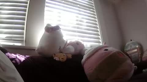 shampooprincess001 online show from March 2026 08:12:02 PM