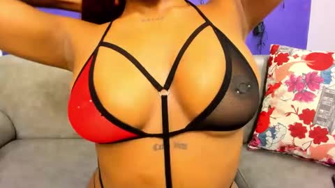 Snapshot of shantalgomes chatting on February 2025 07:33:02 PM Shantal online show from February 2025 07:33:02 PM