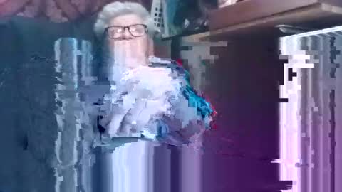 Shamroc online show from December 2024 03:41:01 PM