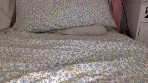 shavednsw online show from March 2026 08:58:02 AM