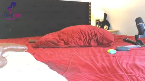 Snapshot of shawn_geni chatting on February 2025 12:50:01 PM Shawn Geni online show from February 2025 12:50:01 PM