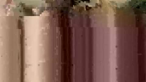 sheablo33 online show from December 2025 02:39:01 AM