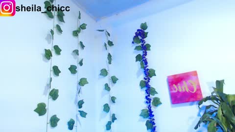 SHEILA  online show from December 2024 07:39:02 PM