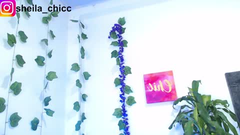 SHEILA  online show from December 2024 10:52:01 PM