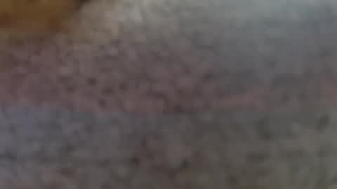 Snapshot of shelikessoymilk chatting on February 2025 09:24:02 PM Erika online show from February 2025 09:24:02 PM