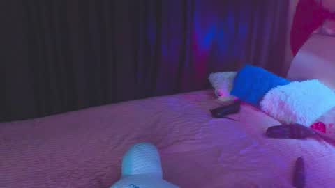 Sher online show from November 2025 10:41:02 PM