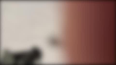 shifted1 online show from January 2025 11:18:01 PM