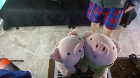 Snapshot of shinobi_grey chatting on January 2025 03:55:02 PM .. shinobi .. online show from January 2025 03:55:02 PM