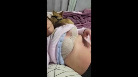 Snapshot of shmuberryfarms chatting on December 2025 12:09:01 PM shmooinaround online show from December 2025 12:09:01 PM