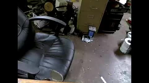 Snapshot of shoani chatting on November 2025 07:41:01 AM Shoani online show from November 2025 07:41:01 AM