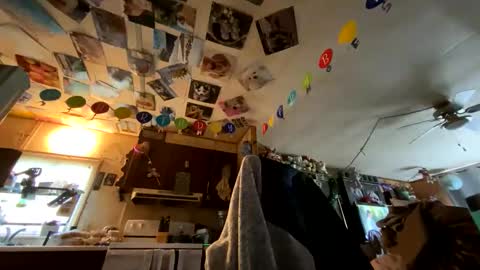 shorty920505 online show from May 2026 10:37:01 PM