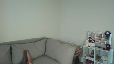 shotaroo online show from May 2026 03:17:01 PM