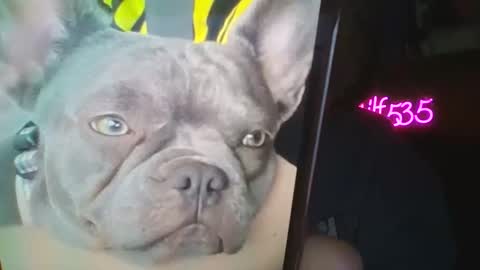 RBXs Princess online show from February 2026 02:55:02 AM