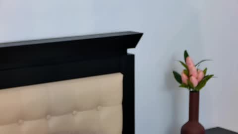 Snapshot of sierra_halle chatting on March 2025 02:52:01 AM SIERRA online show from March 2025 02:52:01 AM