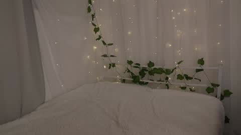 Chilli online show from December 2024 12:40:02 PM