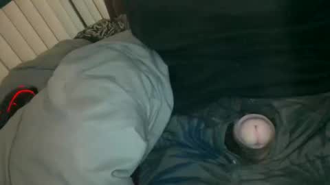 silentstiffler online show from November 2025 04:27:01 AM