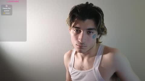 Snapshot of silly_cybin chatting on December 2025 12:25:02 PM cybin online show from December 2025 12:25:02 PM