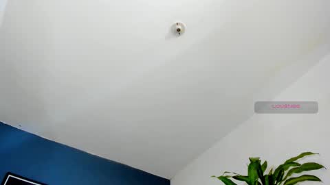 silvabranko online show from October 2025 10:04:01 PM