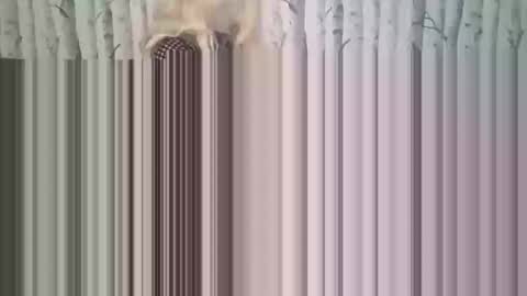 simontupin1973 online show from December 2025 01:33:02 AM