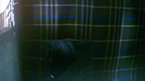 simply__me online show from February 2026 12:07:02 AM