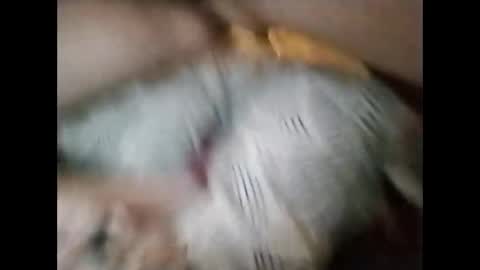 sinbook611 online show from October 2025 10:58:02 AM