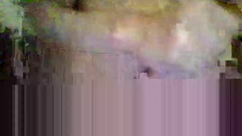 sisinyedz0000 online show from February 2026 05:41:01 PM