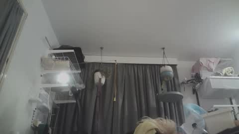 RESPONDS WELL TO ... online show from March 2026 10:41:01 AM